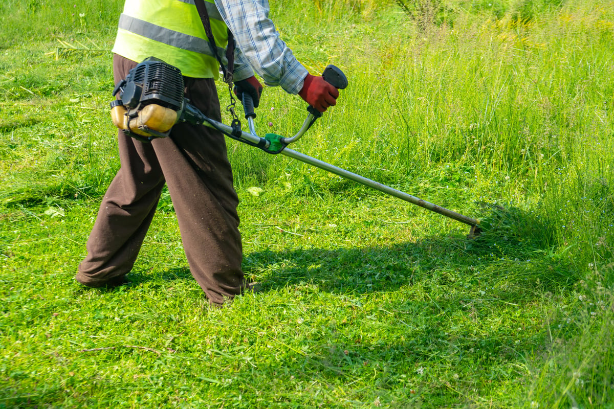 The gardener cutting grass by lawn mower, lawn care